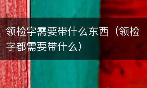 领检字需要带什么东西（领检字都需要带什么）