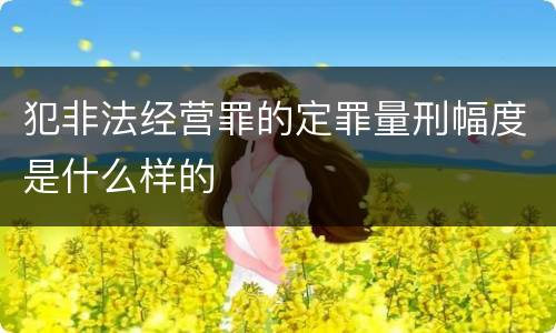 犯非法经营罪的定罪量刑幅度是什么样的