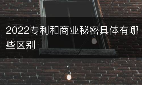2022专利和商业秘密具体有哪些区别