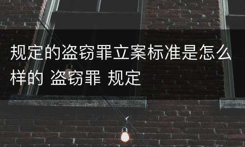 规定的盗窃罪立案标准是怎么样的 盗窃罪 规定