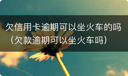 欠信用卡逾期可以坐火车的吗（欠款逾期可以坐火车吗）