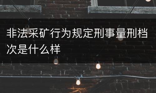 非法采矿行为规定刑事量刑档次是什么样