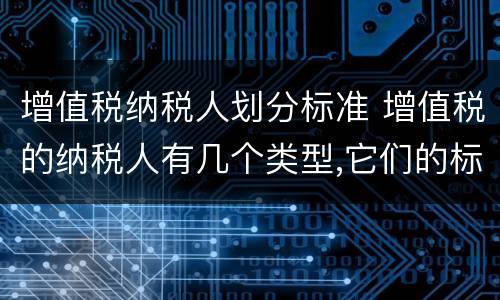 增值税纳税人划分标准 增值税的纳税人有几个类型,它们的标准是如何界定的?