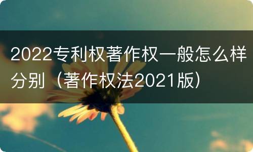 2022专利权著作权一般怎么样分别（著作权法2021版）