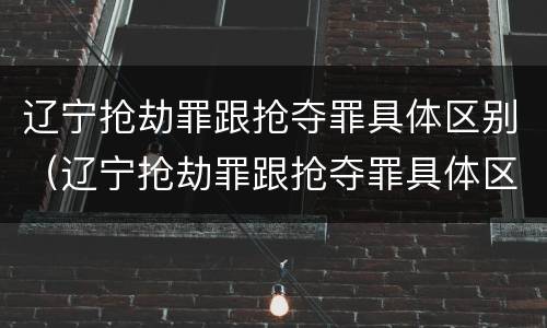 辽宁抢劫罪跟抢夺罪具体区别（辽宁抢劫罪跟抢夺罪具体区别在哪）