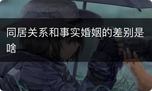 同居关系和事实婚姻的差别是啥