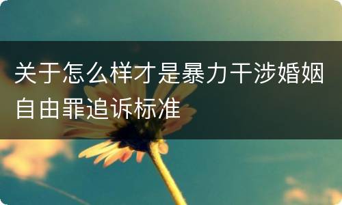 关于怎么样才是暴力干涉婚姻自由罪追诉标准