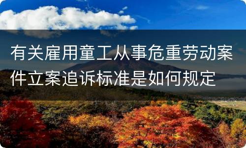有关雇用童工从事危重劳动案件立案追诉标准是如何规定