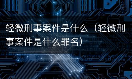 轻微刑事案件是什么（轻微刑事案件是什么罪名）