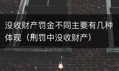 没收财产罚金不同主要有几种体现（刑罚中没收财产）