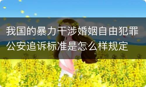 我国的暴力干涉婚姻自由犯罪公安追诉标准是怎么样规定