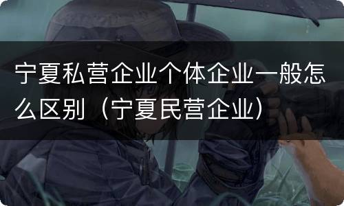 宁夏私营企业个体企业一般怎么区别（宁夏民营企业）
