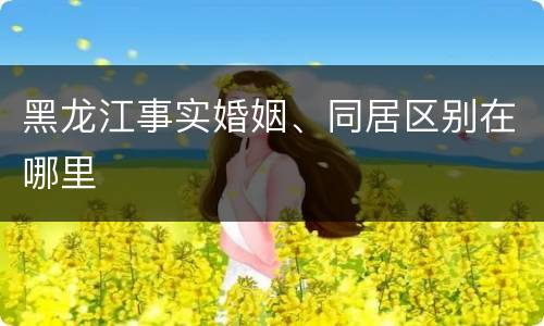 黑龙江事实婚姻、同居区别在哪里