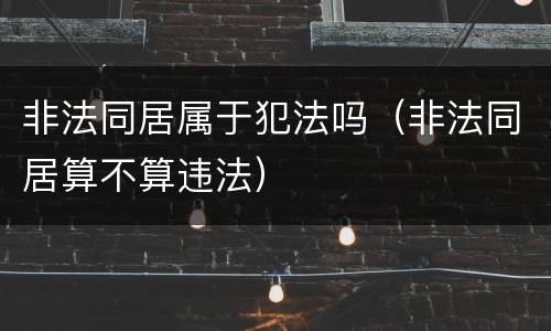 非法同居属于犯法吗（非法同居算不算违法）