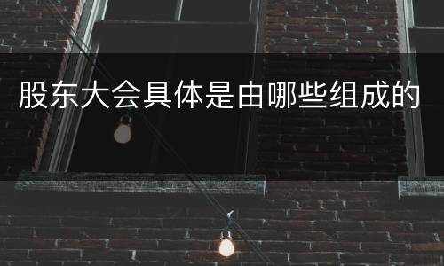 股东大会具体是由哪些组成的