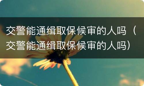 交警能通缉取保候审的人吗（交警能通缉取保候审的人吗）