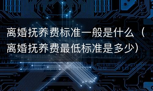 离婚抚养费标准一般是什么（离婚抚养费最低标准是多少）