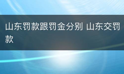 山东罚款跟罚金分别 山东交罚款