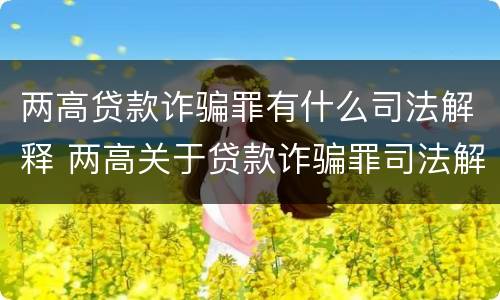 两高贷款诈骗罪有什么司法解释 两高关于贷款诈骗罪司法解释