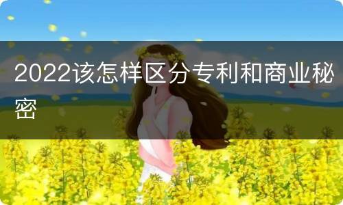 2022该怎样区分专利和商业秘密