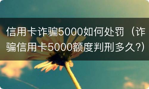 信用卡诈骗5000如何处罚（诈骗信用卡5000额度判刑多久?）