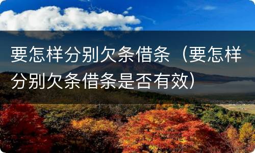 要怎样分别欠条借条（要怎样分别欠条借条是否有效）