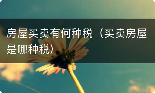 房屋买卖有何种税（买卖房屋是哪种税）