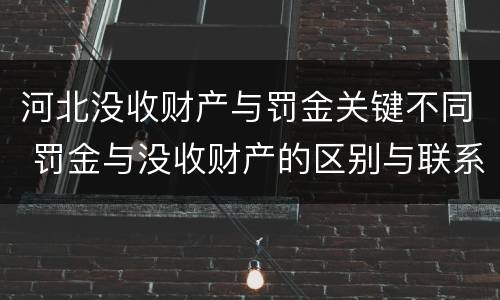 河北没收财产与罚金关键不同 罚金与没收财产的区别与联系