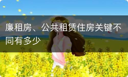 廉租房、公共租赁住房关键不同有多少