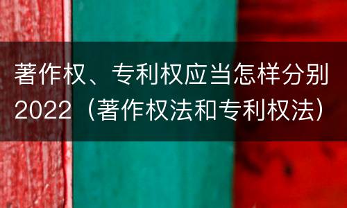 著作权、专利权应当怎样分别2022（著作权法和专利权法）