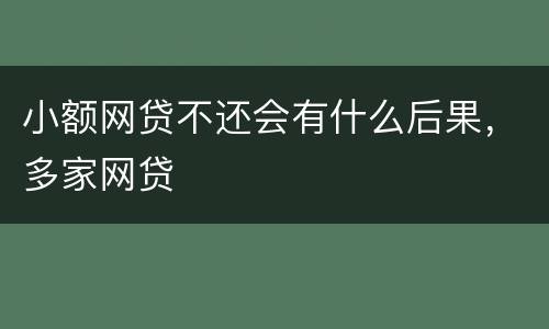 小额网贷不还会有什么后果，多家网贷