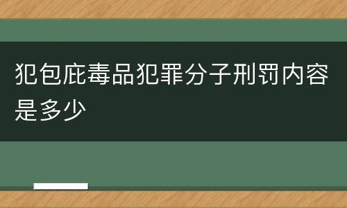 犯包庇毒品犯罪分子刑罚内容是多少