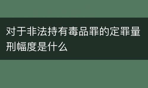 对于非法持有毒品罪的定罪量刑幅度是什么
