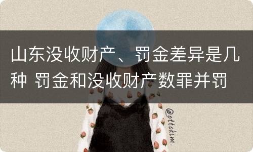 山东没收财产、罚金差异是几种 罚金和没收财产数罪并罚