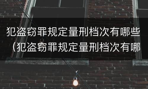 犯盗窃罪规定量刑档次有哪些（犯盗窃罪规定量刑档次有哪些标准）