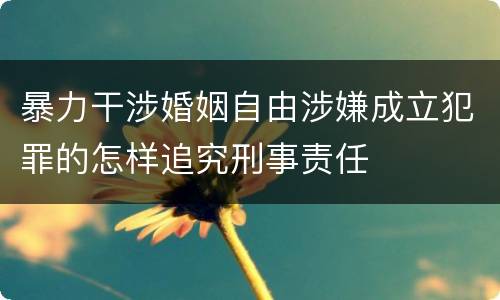 暴力干涉婚姻自由涉嫌成立犯罪的怎样追究刑事责任