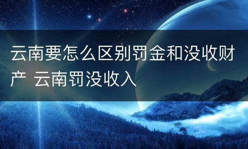 云南要怎么区别罚金和没收财产 云南罚没收入