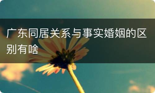 广东同居关系与事实婚姻的区别有啥