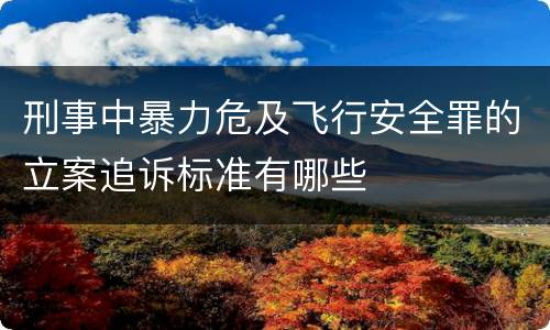 刑事中暴力危及飞行安全罪的立案追诉标准有哪些