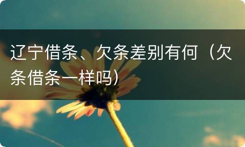 辽宁借条、欠条差别有何（欠条借条一样吗）
