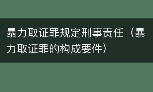 暴力取证罪规定刑事责任（暴力取证罪的构成要件）