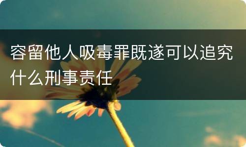 容留他人吸毒罪既遂可以追究什么刑事责任