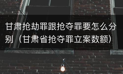甘肃抢劫罪跟抢夺罪要怎么分别（甘肃省抢夺罪立案数额）