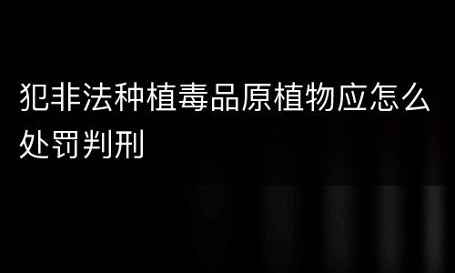 犯非法种植毒品原植物应怎么处罚判刑