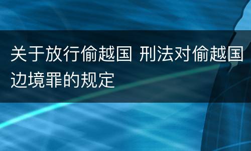 关于放行偷越国 刑法对偷越国边境罪的规定