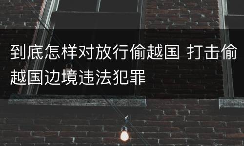 到底怎样对放行偷越国 打击偷越国边境违法犯罪