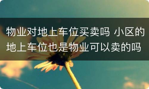 物业对地上车位买卖吗 小区的地上车位也是物业可以卖的吗