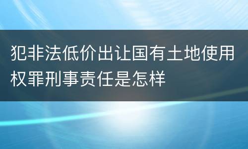 犯非法低价出让国有土地使用权罪刑事责任是怎样