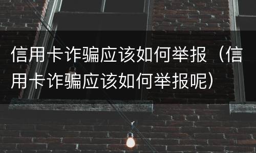 信用卡诈骗应该如何举报（信用卡诈骗应该如何举报呢）
