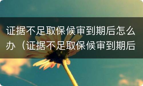 证据不足取保候审到期后怎么办（证据不足取保候审到期后怎么办呢）